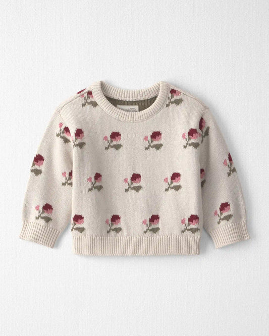 Baby Organic Cotton Sweater Knit Pullover in Wildflower Maize