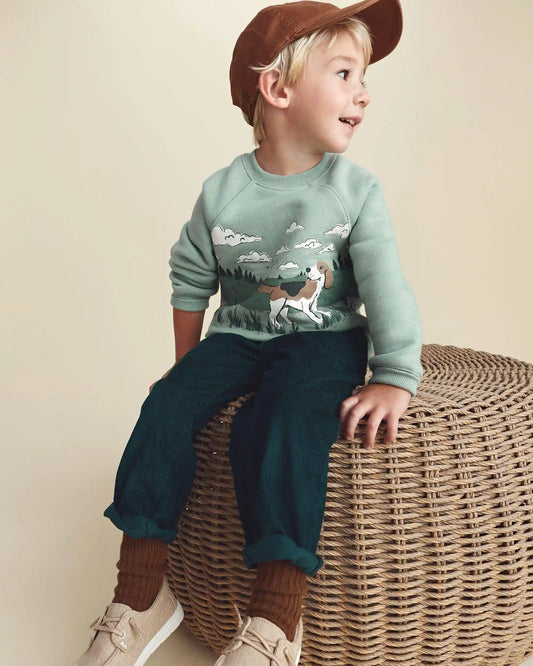 Toddler Boy Dog Fleece Pullover Sweatshirt - Green