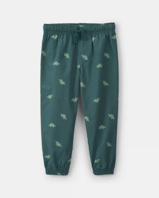 Baby Boy 2-Piece Dinosaur Fleece Hooded Top & Pant Set - Grey/Green