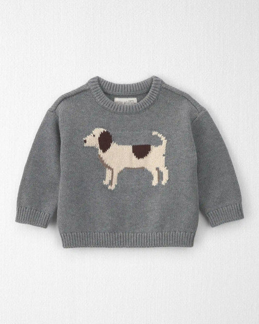 Baby Organic Cotton Dog Sweater Knit Pullover