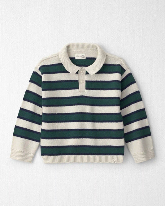 Toddler Boy Organic Cotton Sweater Knit Polo in Stripes