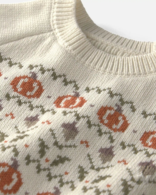 Toddler Organic Cotton Fair Isle Sweater Knit Pullover