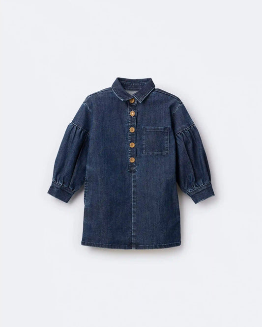 Toddler Girl Puff-Sleeve Denim Dress - Blue