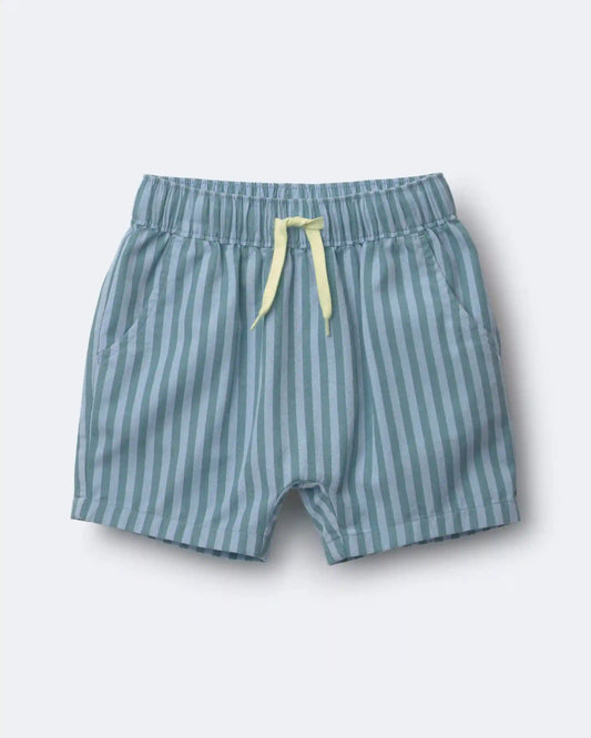 Toddler Boy Playground Shorts in Stripes - Blue