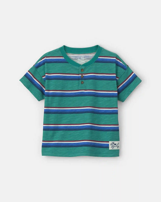 Toddler Boy Striped Henley T-Shirt - Green/Blue