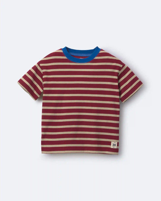Toddler Boy Relaxed Tee in Stripes - Burgundy/Royal Blue