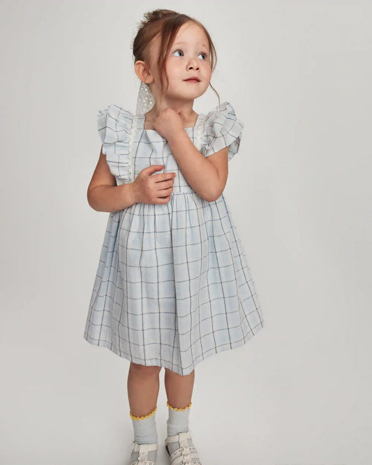 Toddler Girl Plaid Ruffle-Sleeve Dress - Blue/White