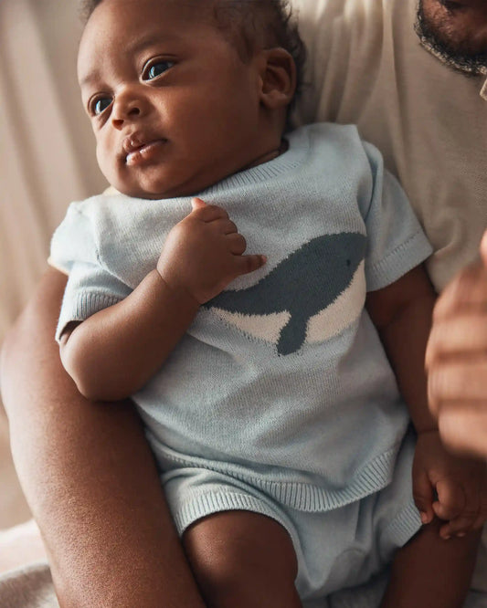 Baby 2-Piece Whale Short-Sleeve Sweater Top & Short Set - Blue